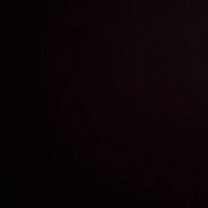 Butterfly dangling earrings